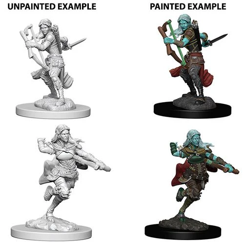 Dungeons & Dragons: Nolzur's Marvelous Unpainted Miniatures - W04 Air Genasi Female Rogue