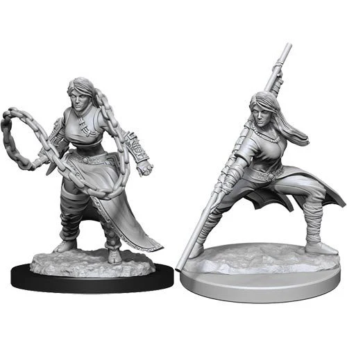 Dungeons & Dragons: Nolzur's Marvelous Unpainted Miniatures - W14 Human Monk Female