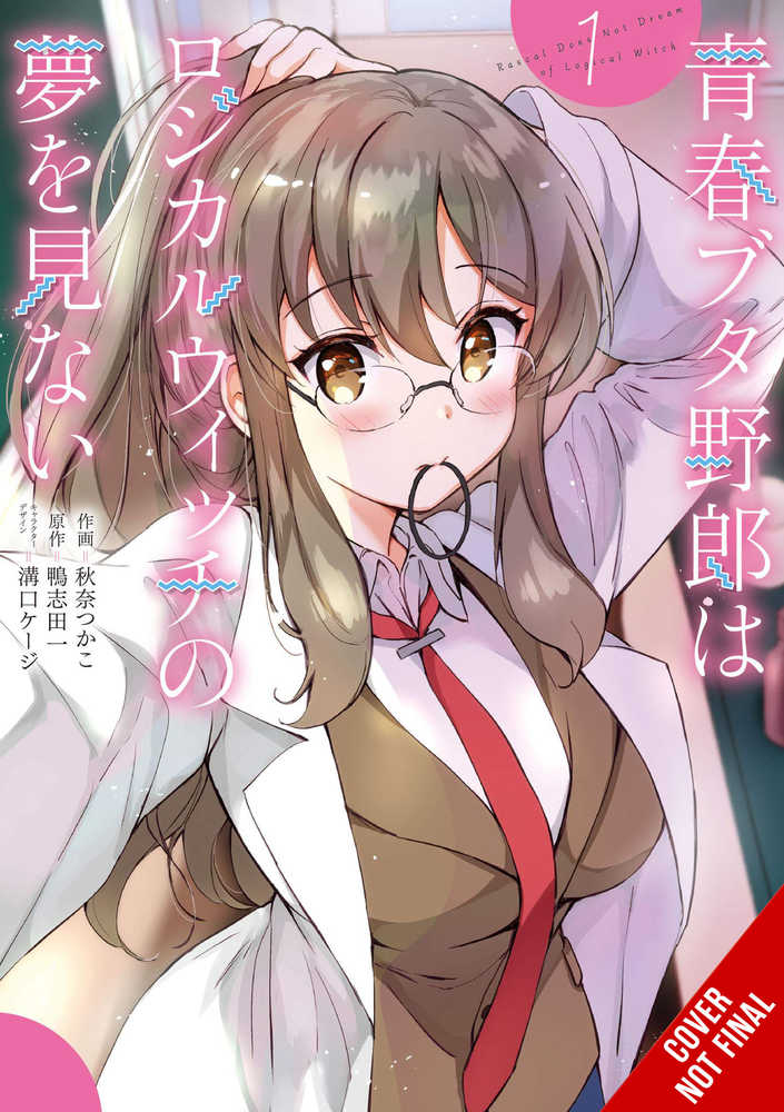 Rascal Does Not Dream Of Logical Witch Graphic Novel